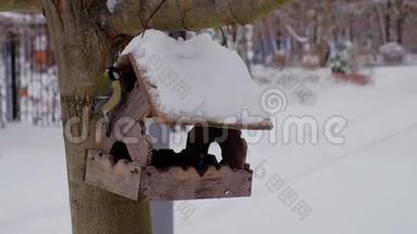 在冬季用木鸟喂食器喂鸟